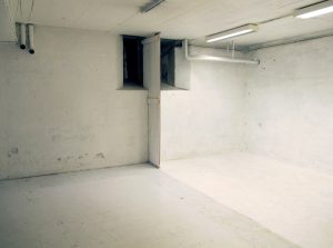 This is a white basement room, with nothing in it, two strip light in the ceiling are on and the windows are dark.
